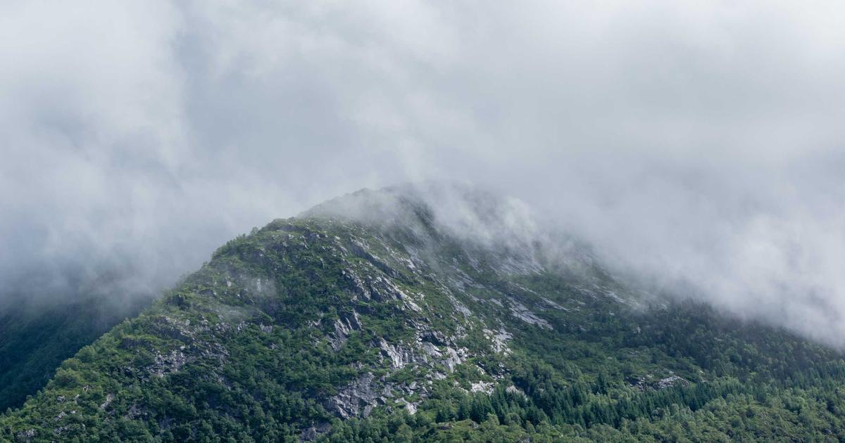 Beyond the Dispensary: Pairing Cannabis Delivery With Local Adventures in Anchorage