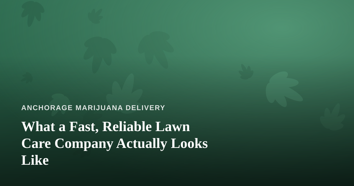 What a Fast, Reliable Lawn Care Company Actually Looks Like